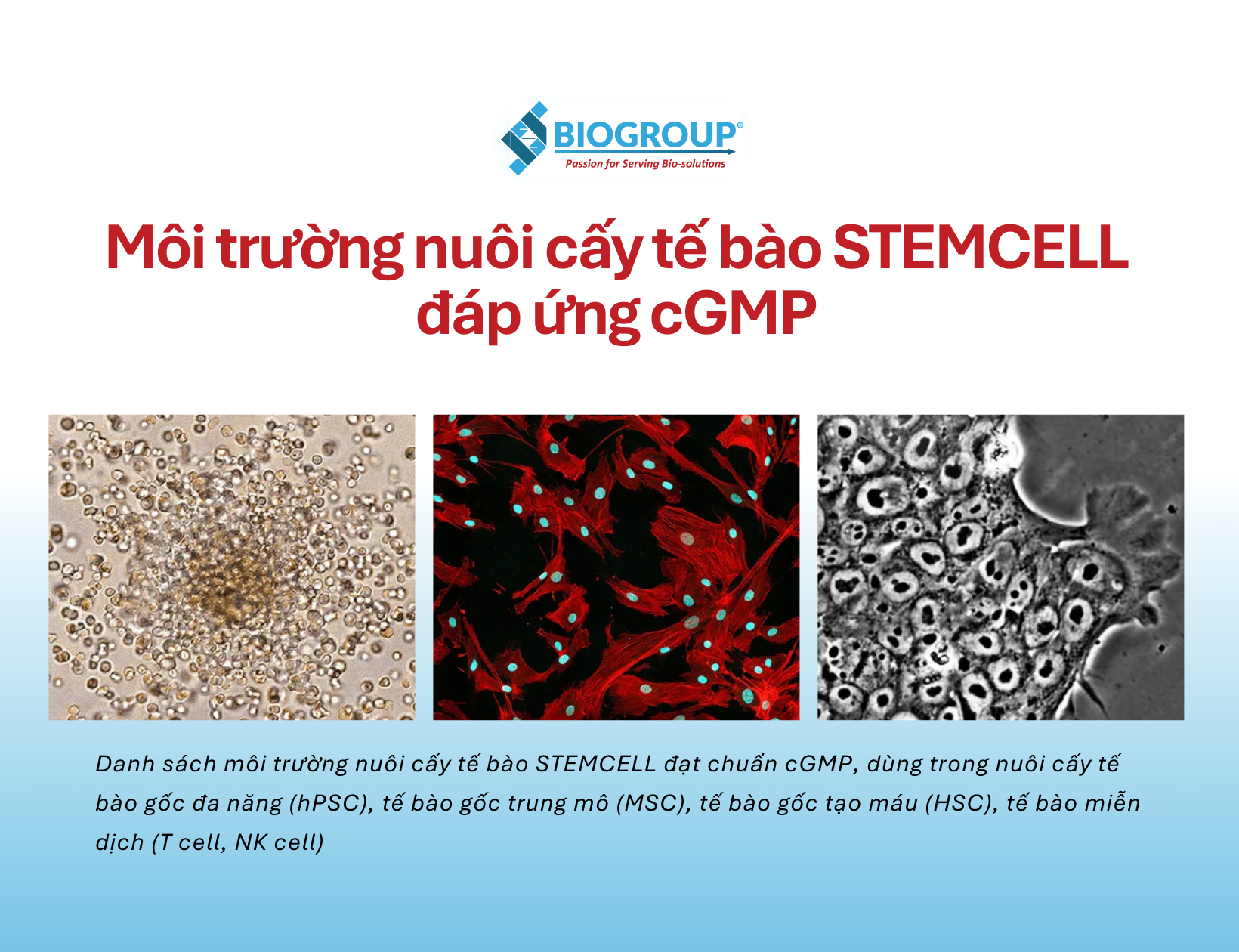 Môi trường nuôi cấy tế bào STEMCELL đáp ứng cGMP